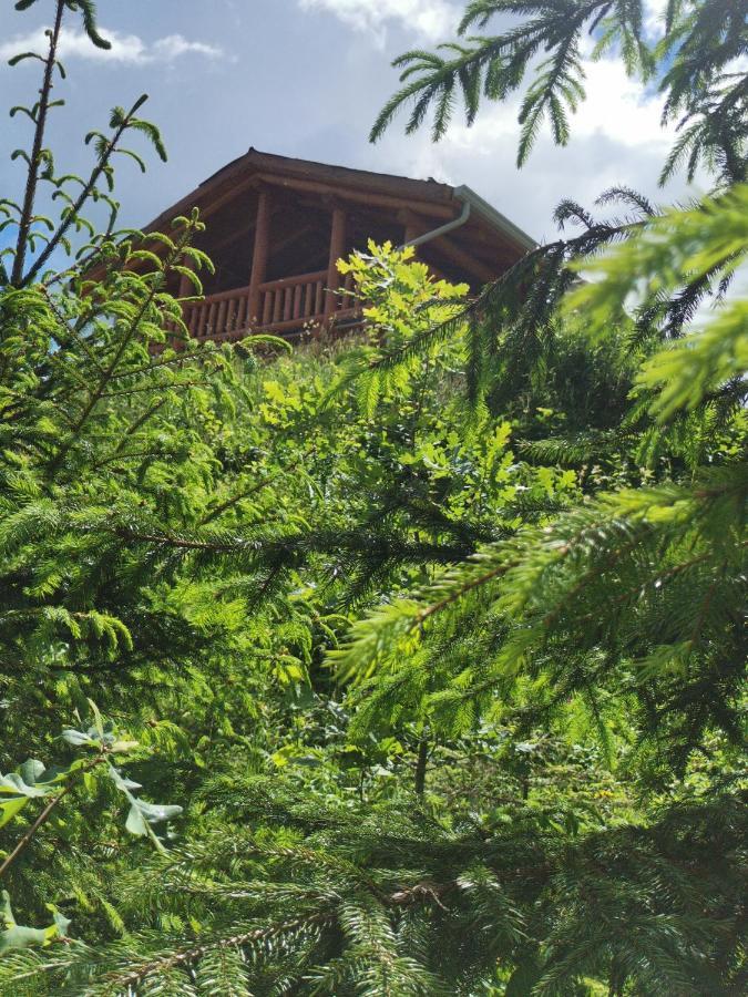 Cabana Casa De Piatra, De La Mara Deseşti Exterior foto